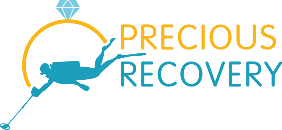 Logo Precious Recovery - Metaaldetectie service Friesland